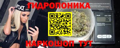 гашик Тулун