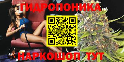 гашик Тулун