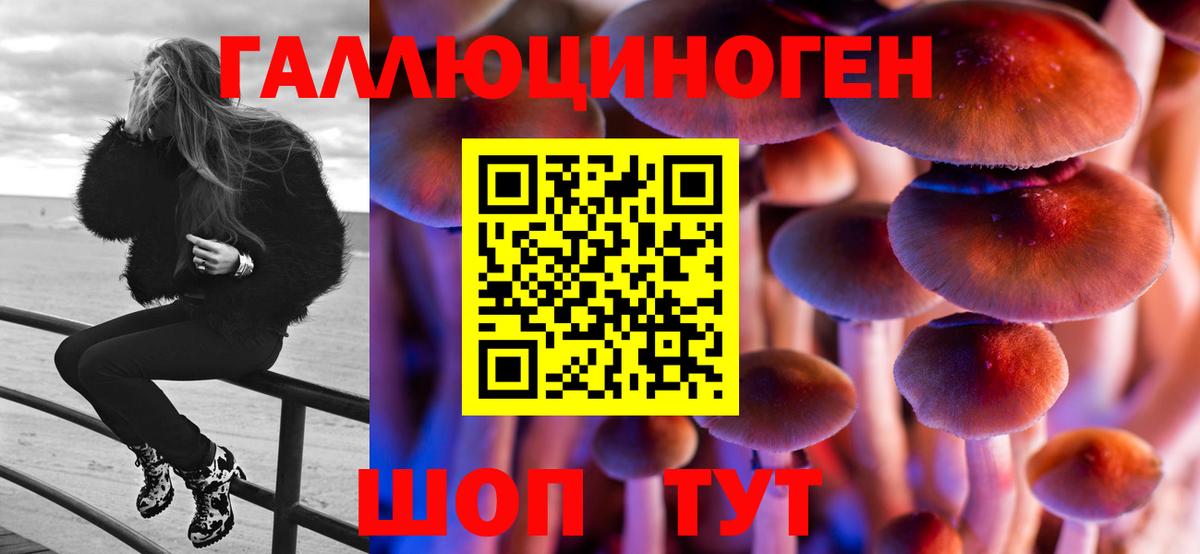Оренбург  Псилоцибиновые грибы Magic Shrooms  магазин    Вход с VPN 